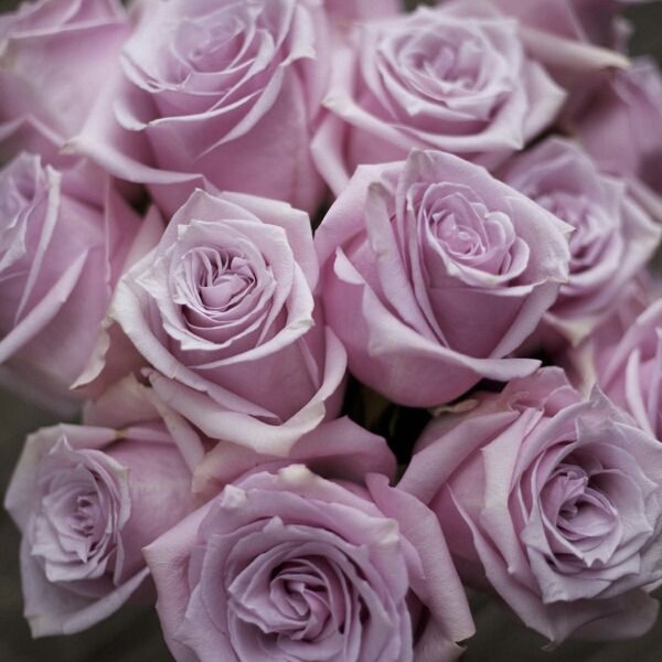 Наутика в Махачкале