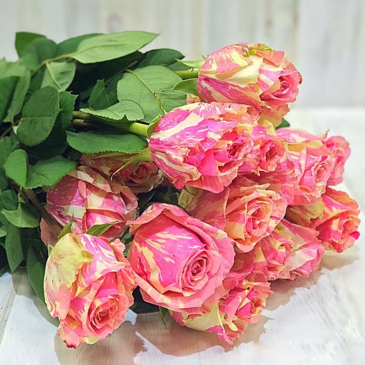 Фиеста (Fiesta) в Махачкале