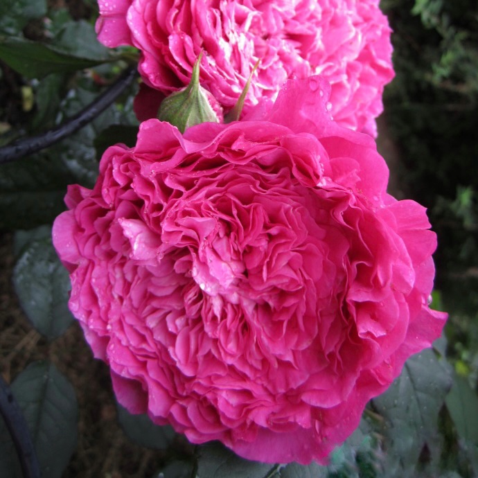 Вентило в Махачкале