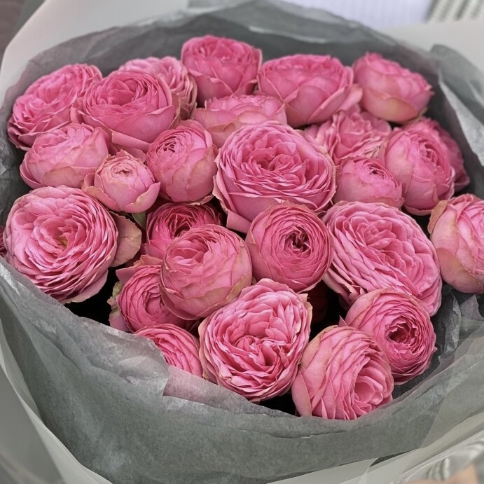 Жизель (Gisella) в Махачкале