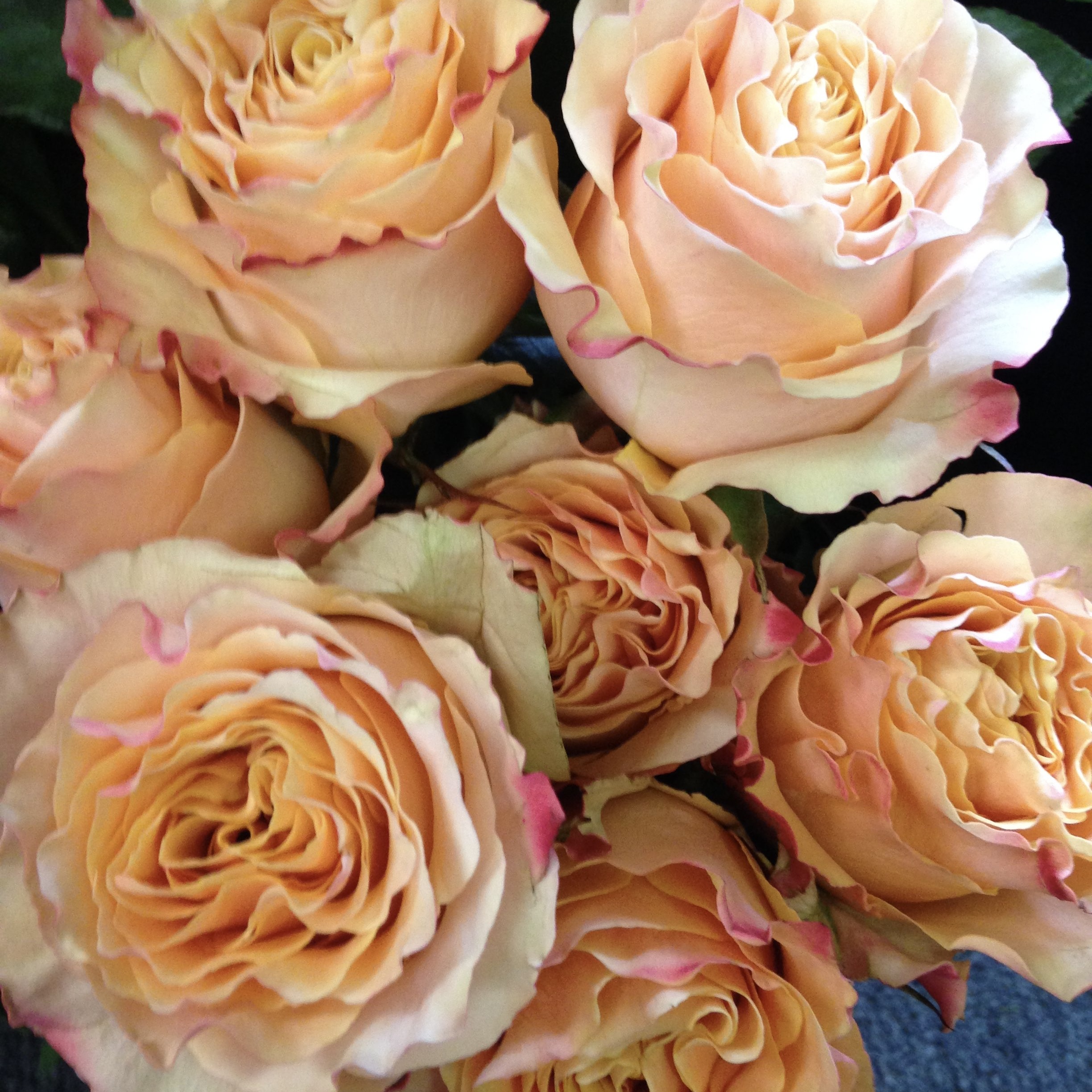 Карпе Диэм в Махачкале