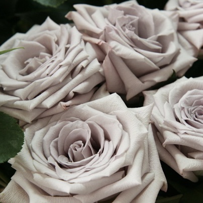 Мента в Махачкале