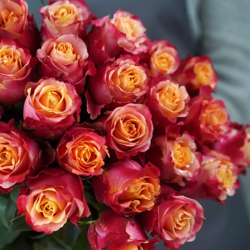 Три Д (3D) (3D) в Махачкале