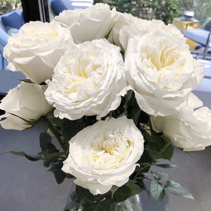 Майра Вайт  (Mayra’s White) в Махачкале