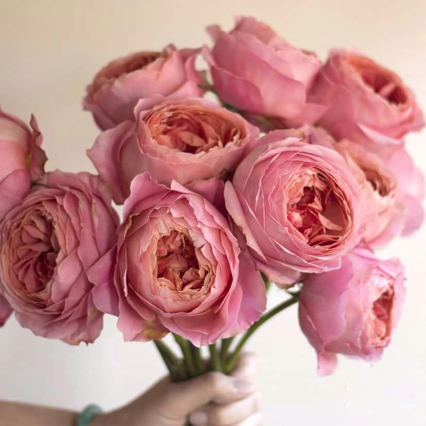 Романтик Антик в Махачкале