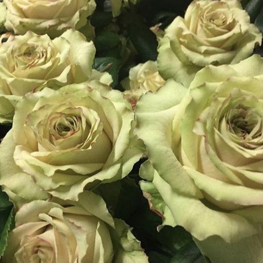 Гипноз в Махачкале