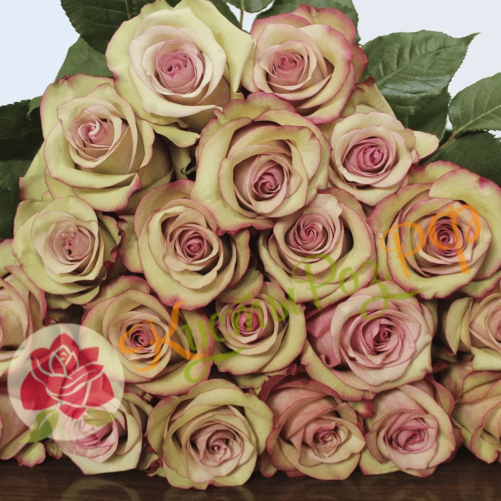 Винтаж (Vintage) в Махачкале