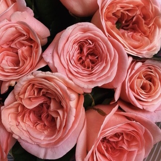 Лондон Ай в Махачкале