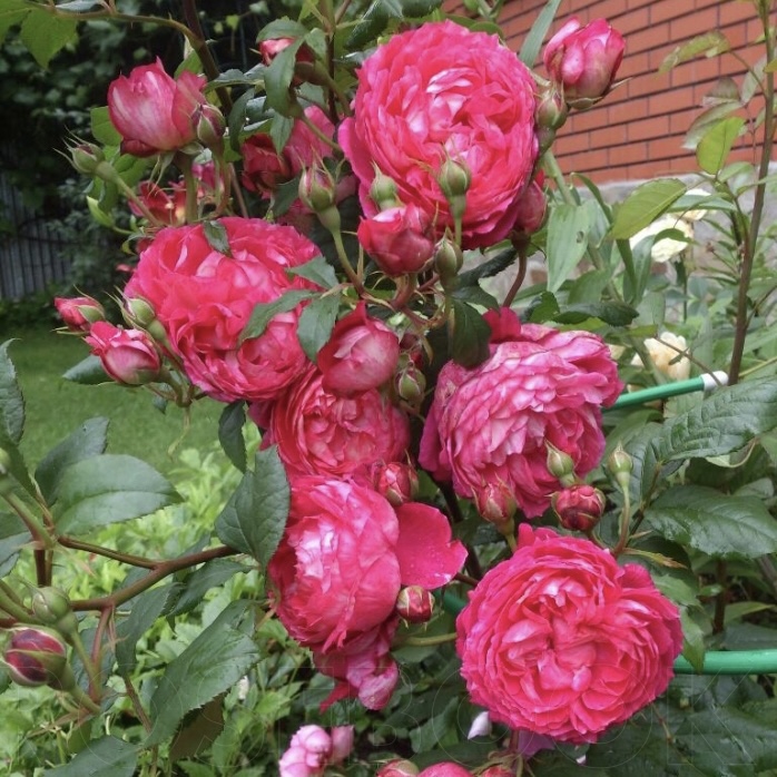 Кредит Матюэль  (Credit Mutuel) в Махачкале