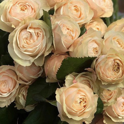 Виктория Пич в Махачкале